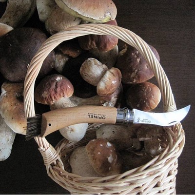 Navaja para Setas Opinel n� 8